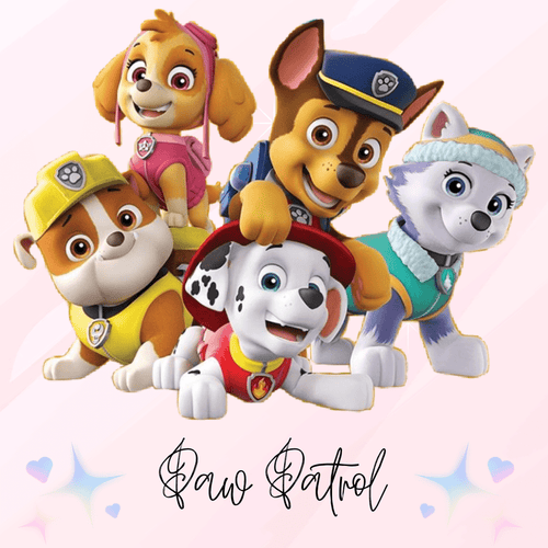Paw Patrol Party Bags & Party Favours Australia