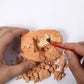 Excavate Dinosaur Series