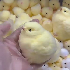 Little Chick Squishy Toy – Sensory Toy & Party Bag Filler
